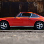 Great White Shark Nursery Found in Waters Off Montauk